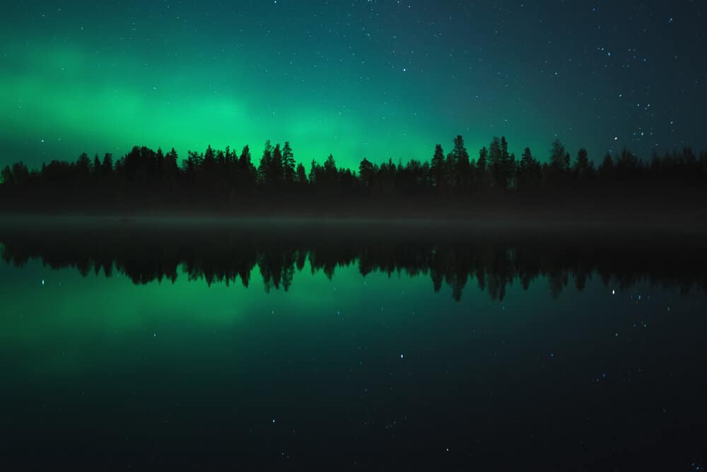 The Northern Lights are seen and reflected along a line of trees